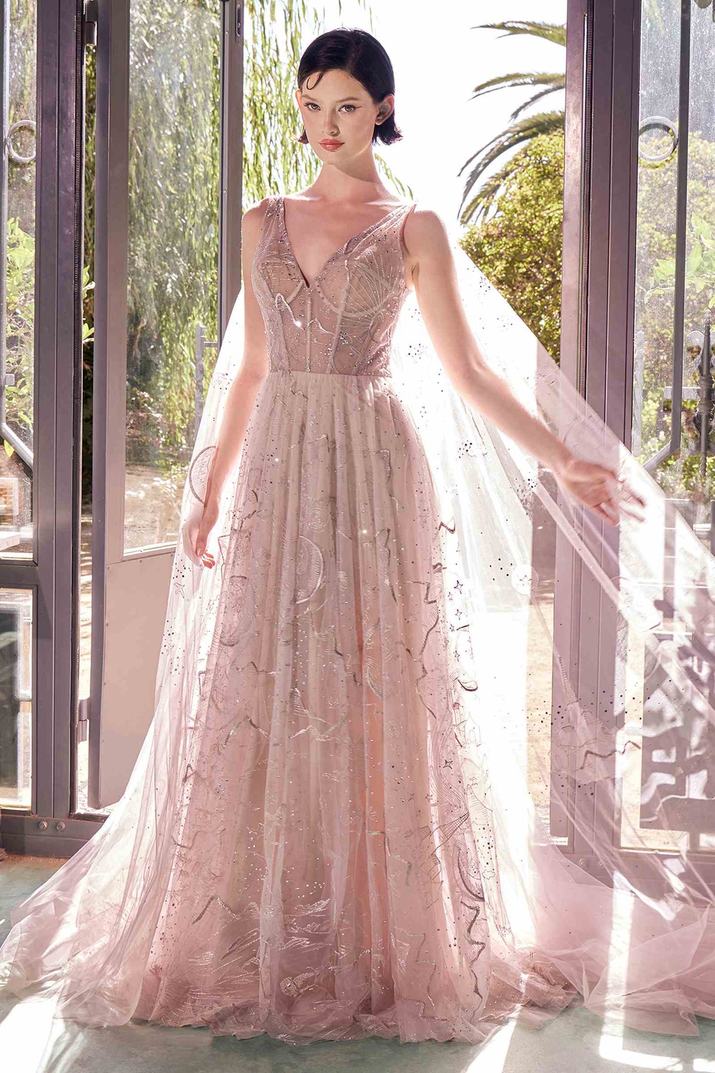 The Anne Boleyn Star Crossed Lovers Gown