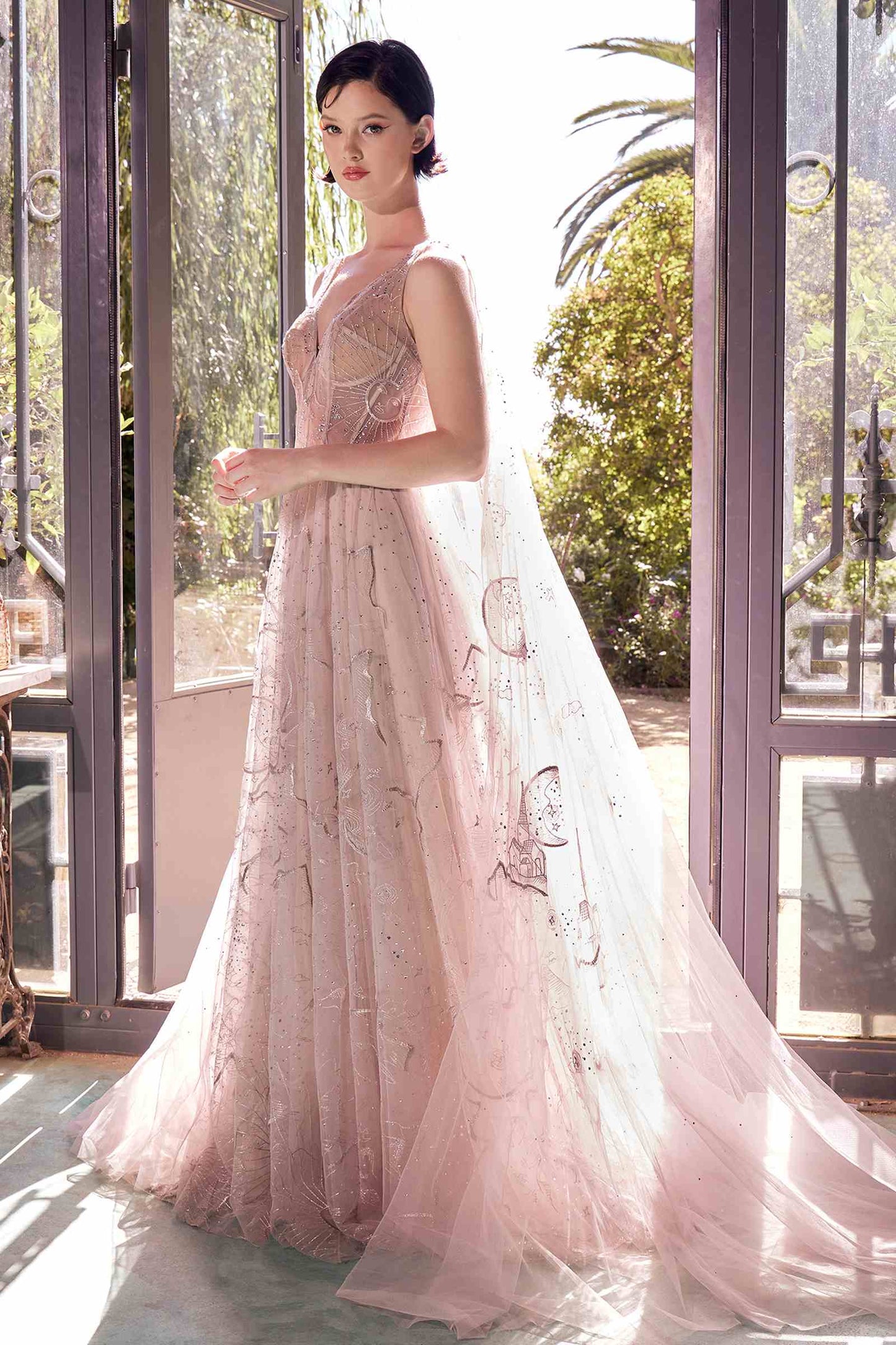 The Anne Boleyn Star Crossed Lovers Gown