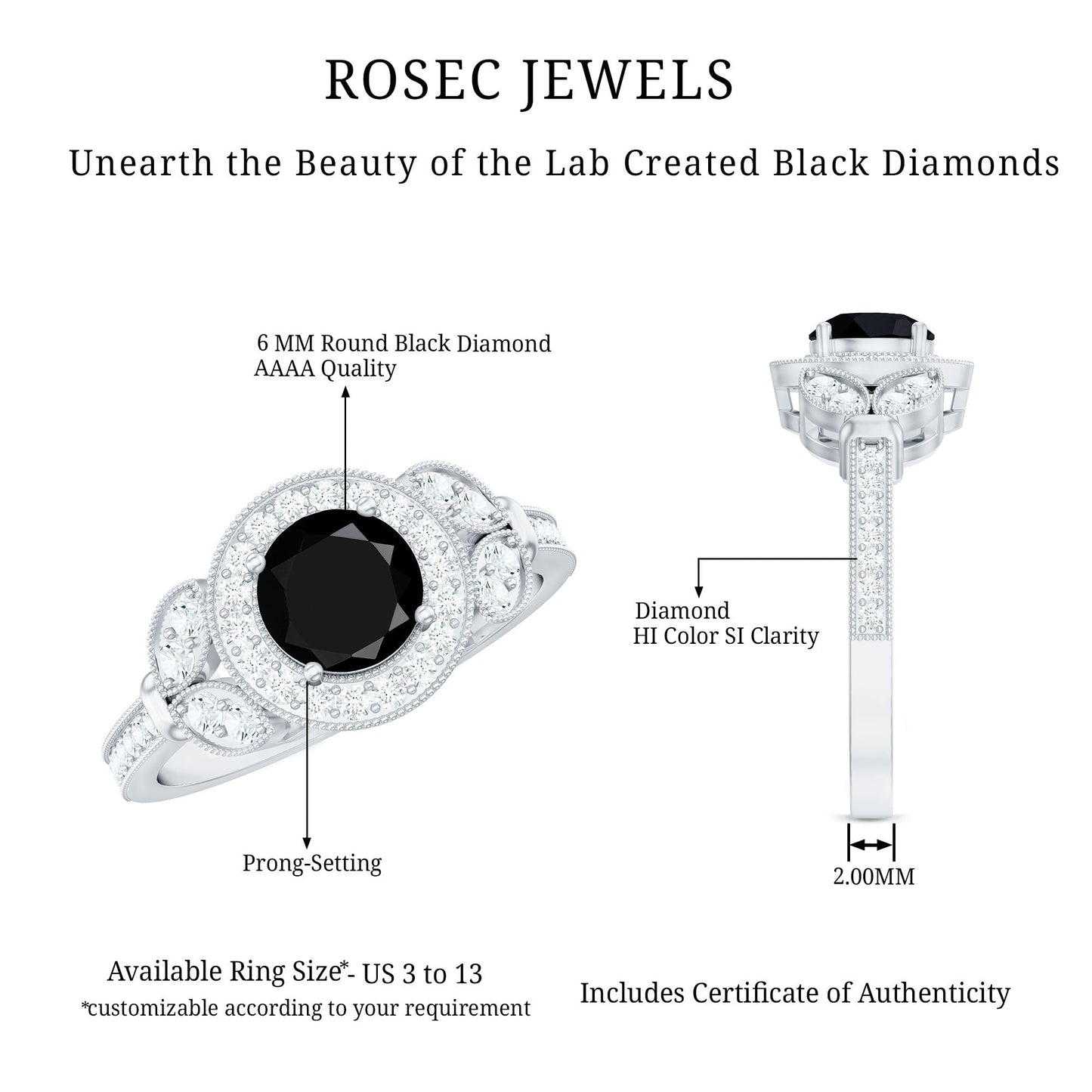 The Shadowed Falcon | Royal Black Diamond Engagement Ring