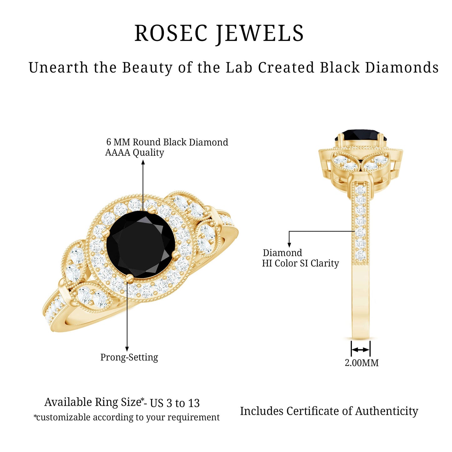 The Shadowed Falcon | Royal Black Diamond Engagement Ring