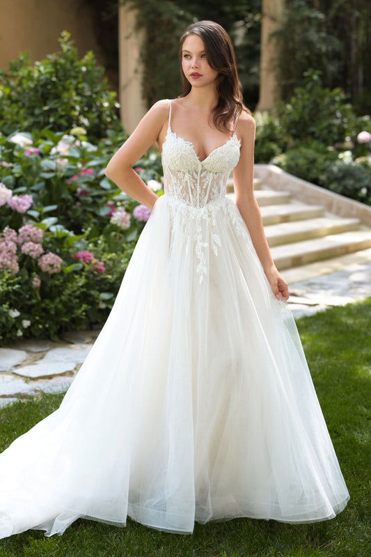 A Solar Eclipse of the Heart | Lace Corset A-Line Gown