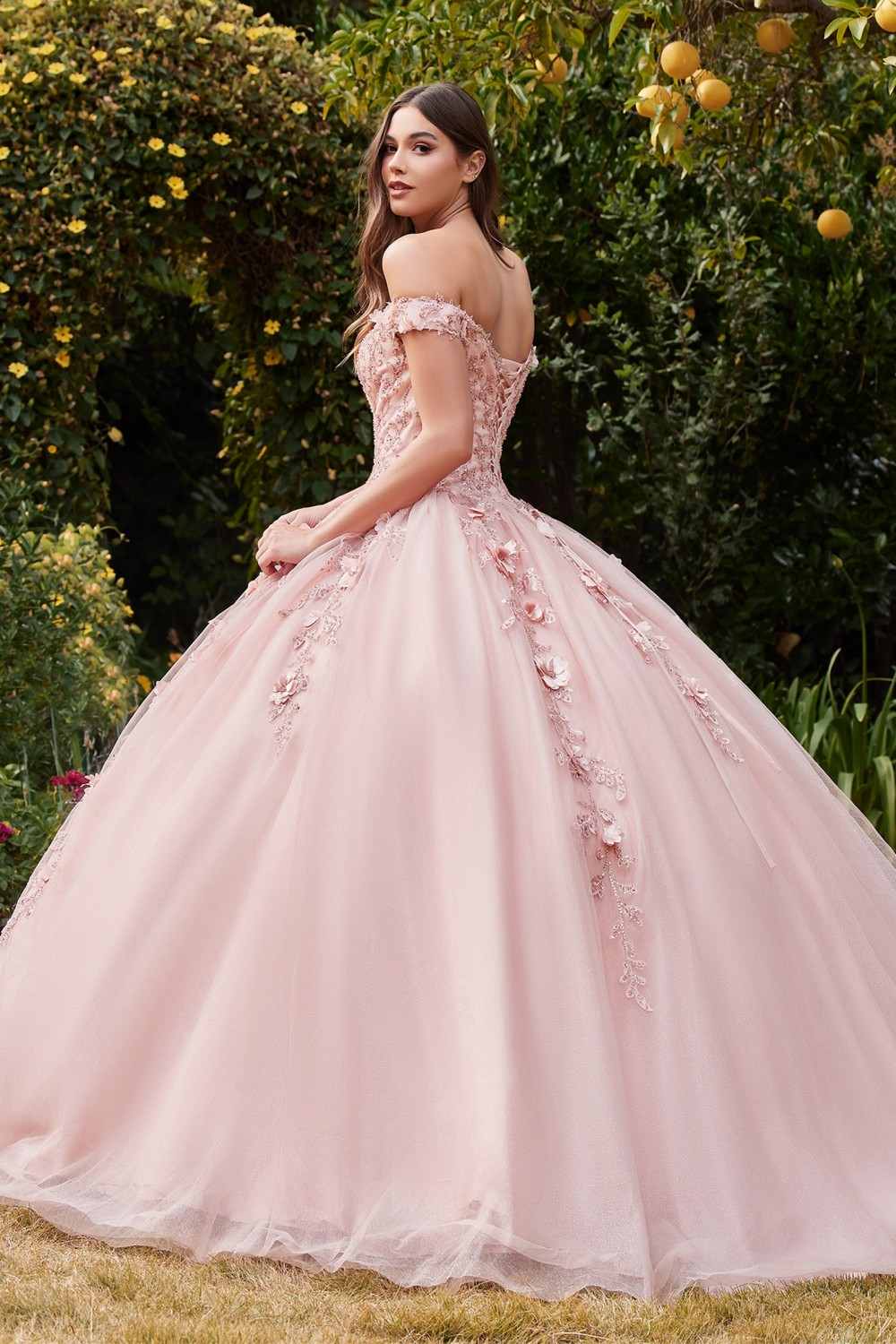 The Twilight Chamber Romance Dress