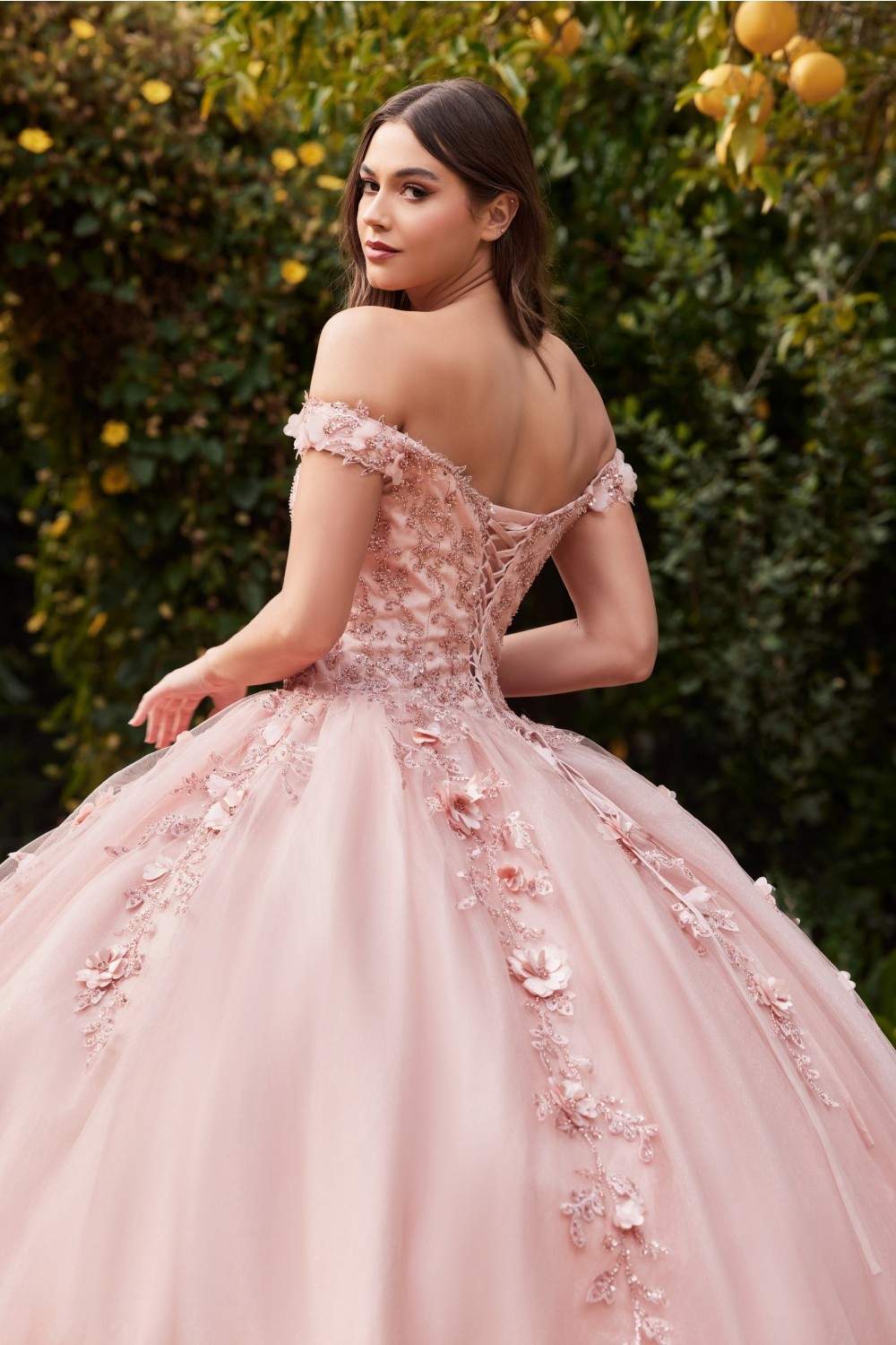 The Twilight Chamber Romance Dress