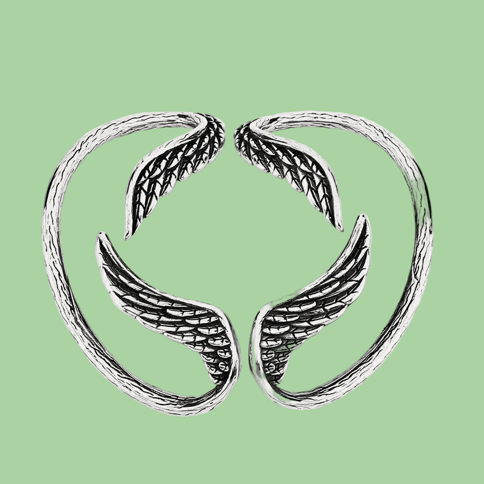 Pair of silver wing-shaped earrings on a light sage green background.